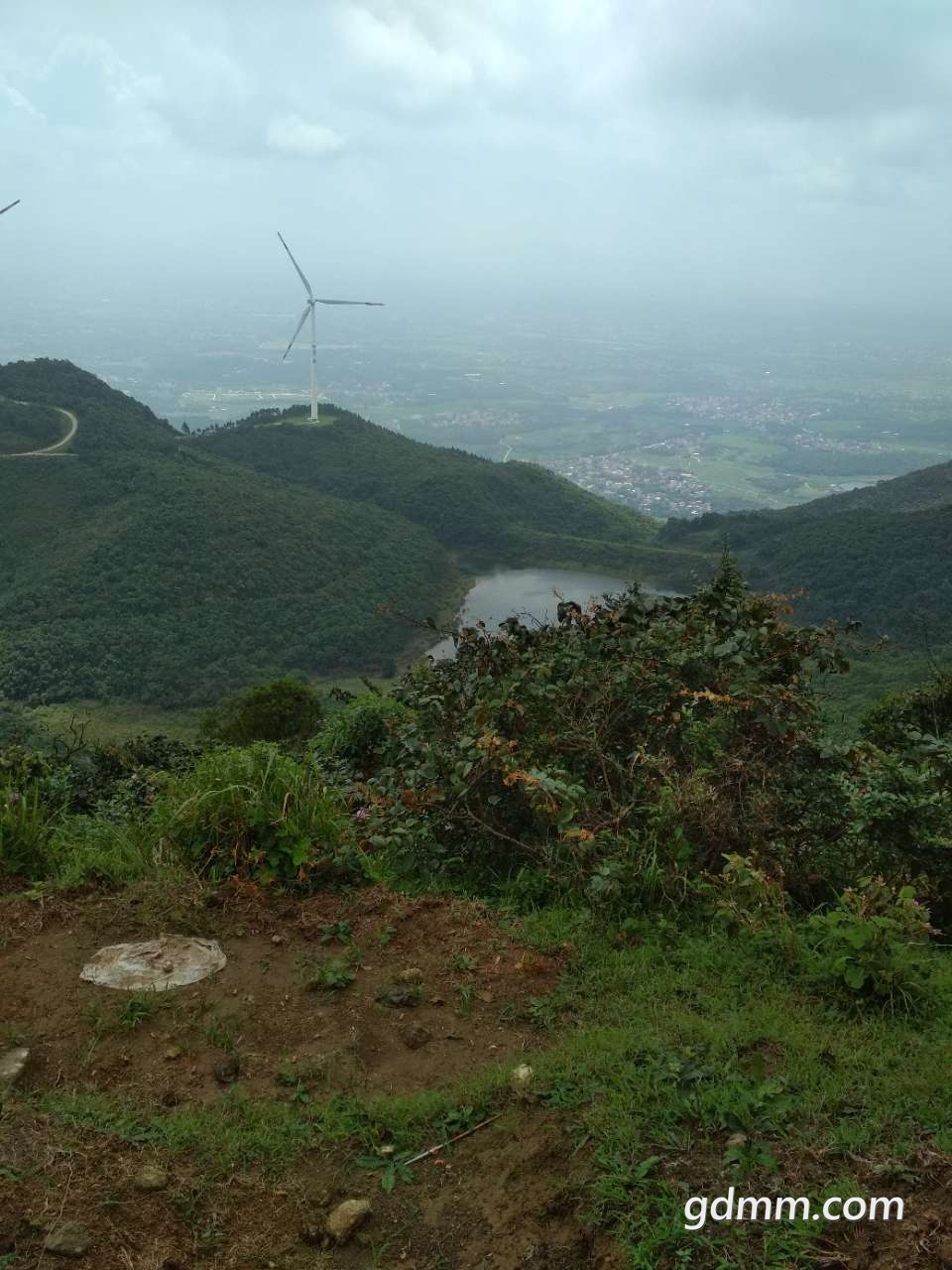 20190429_3276212_1556546787789.jpg