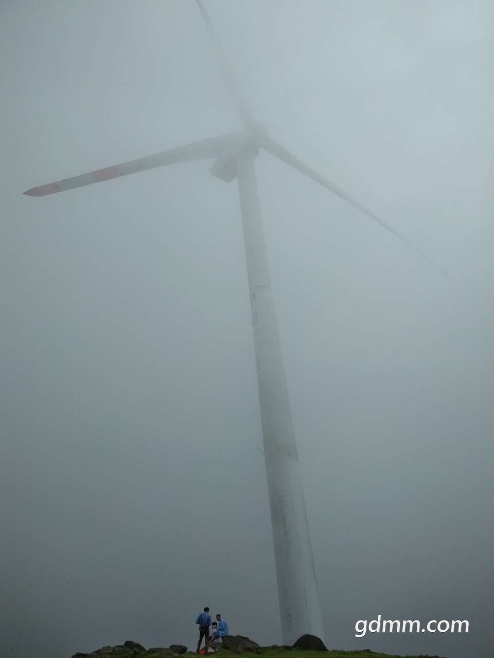 20190429_3276212_1556546788459.jpg