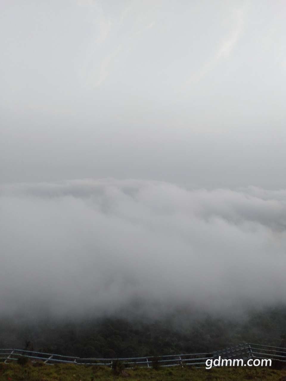 20190430_128814_1556587532115.jpg