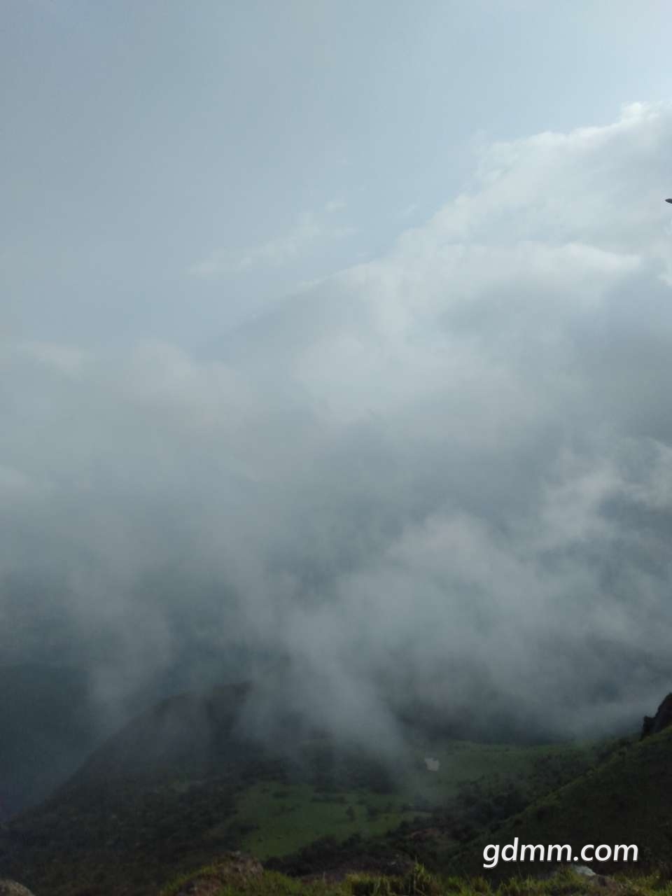 20190430_128814_1556587532966.jpg