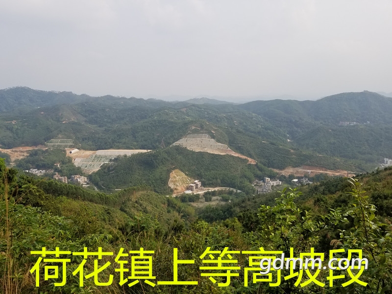20190330_160822_.jpg