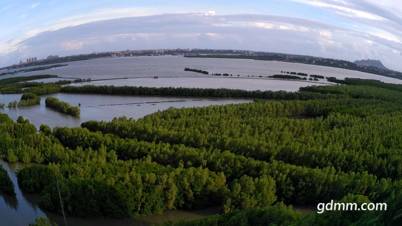 20190430_3247700_1556627030123.jpg