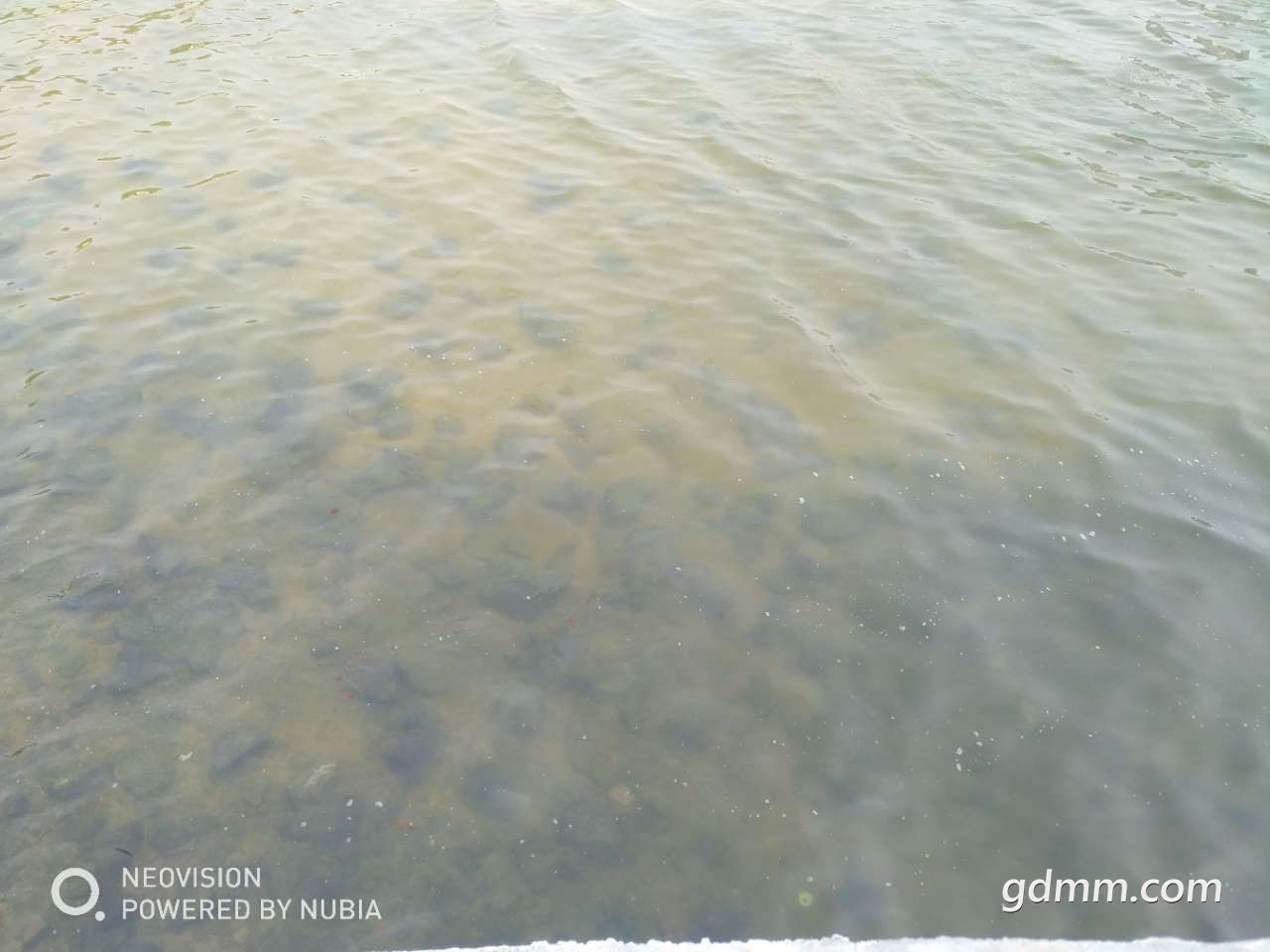 20190501_3256765_1556671147509.jpg