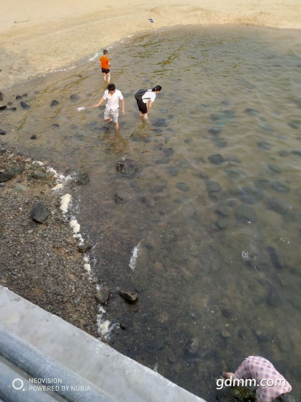 20190501_3256765_1556671147142.jpg