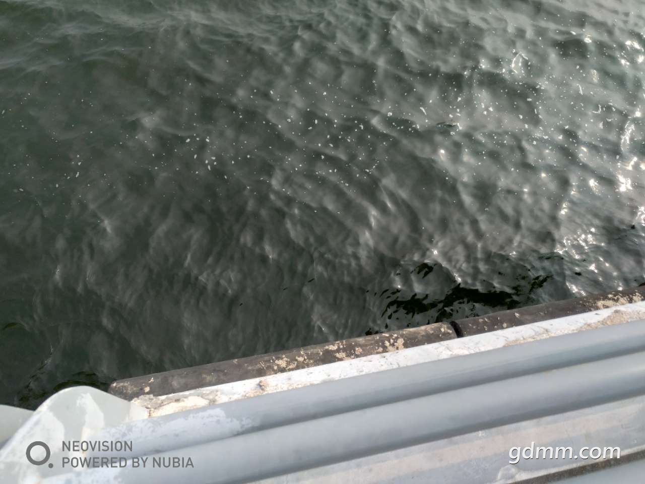 20190501_3256765_1556671547941.jpg