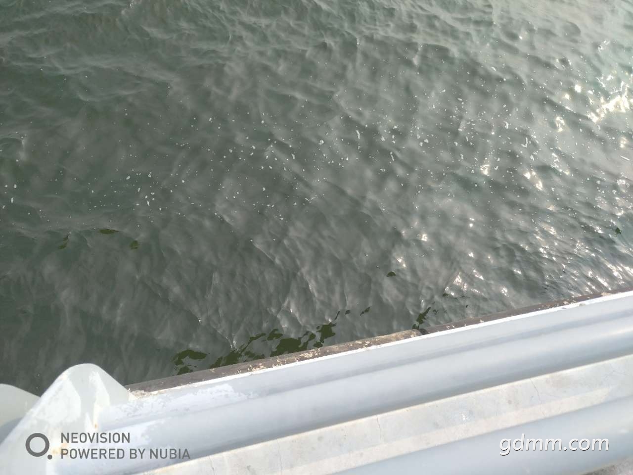 20190501_3256765_1556671548242.jpg