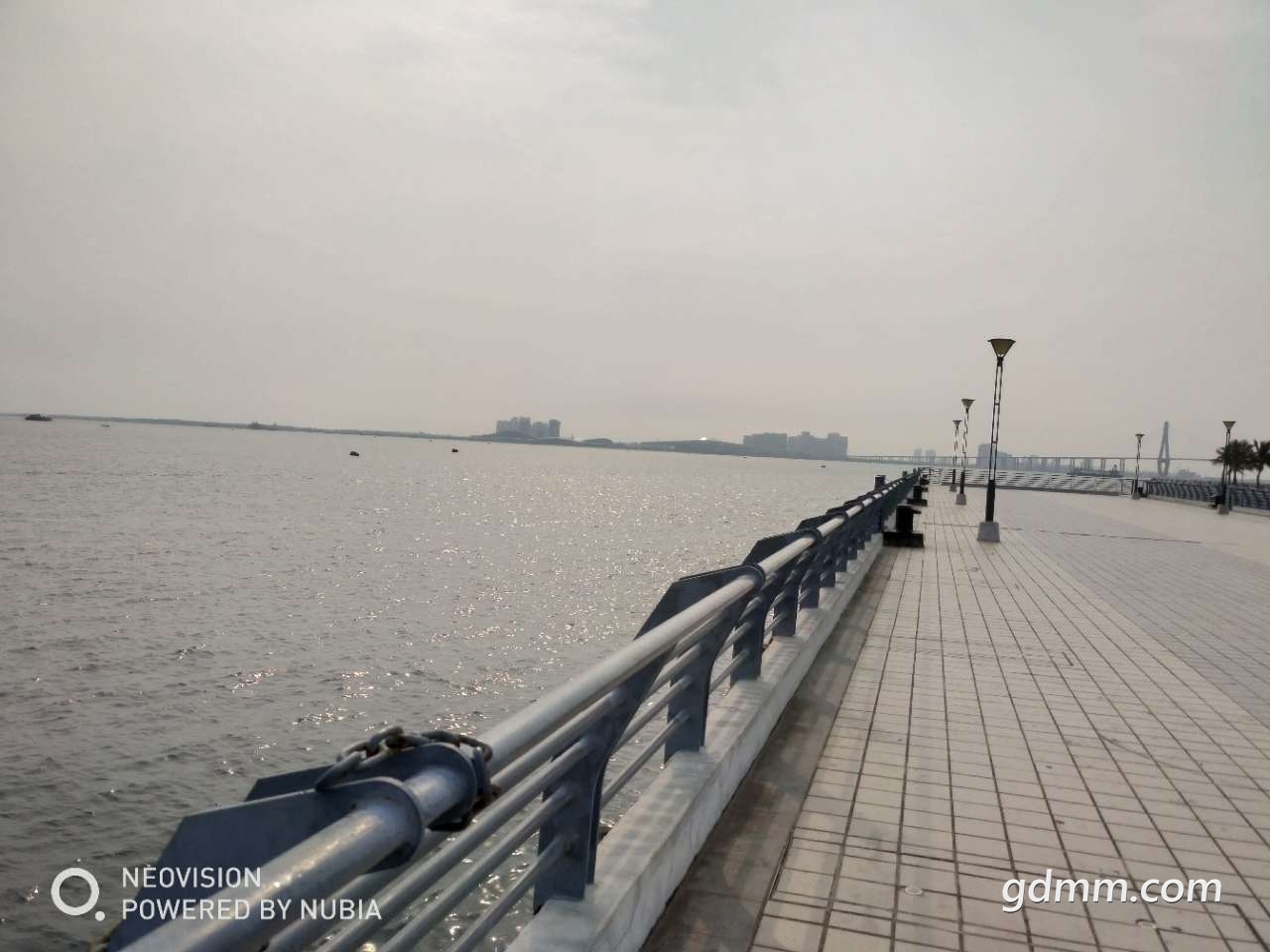 20190501_3256765_1556671662807.jpg