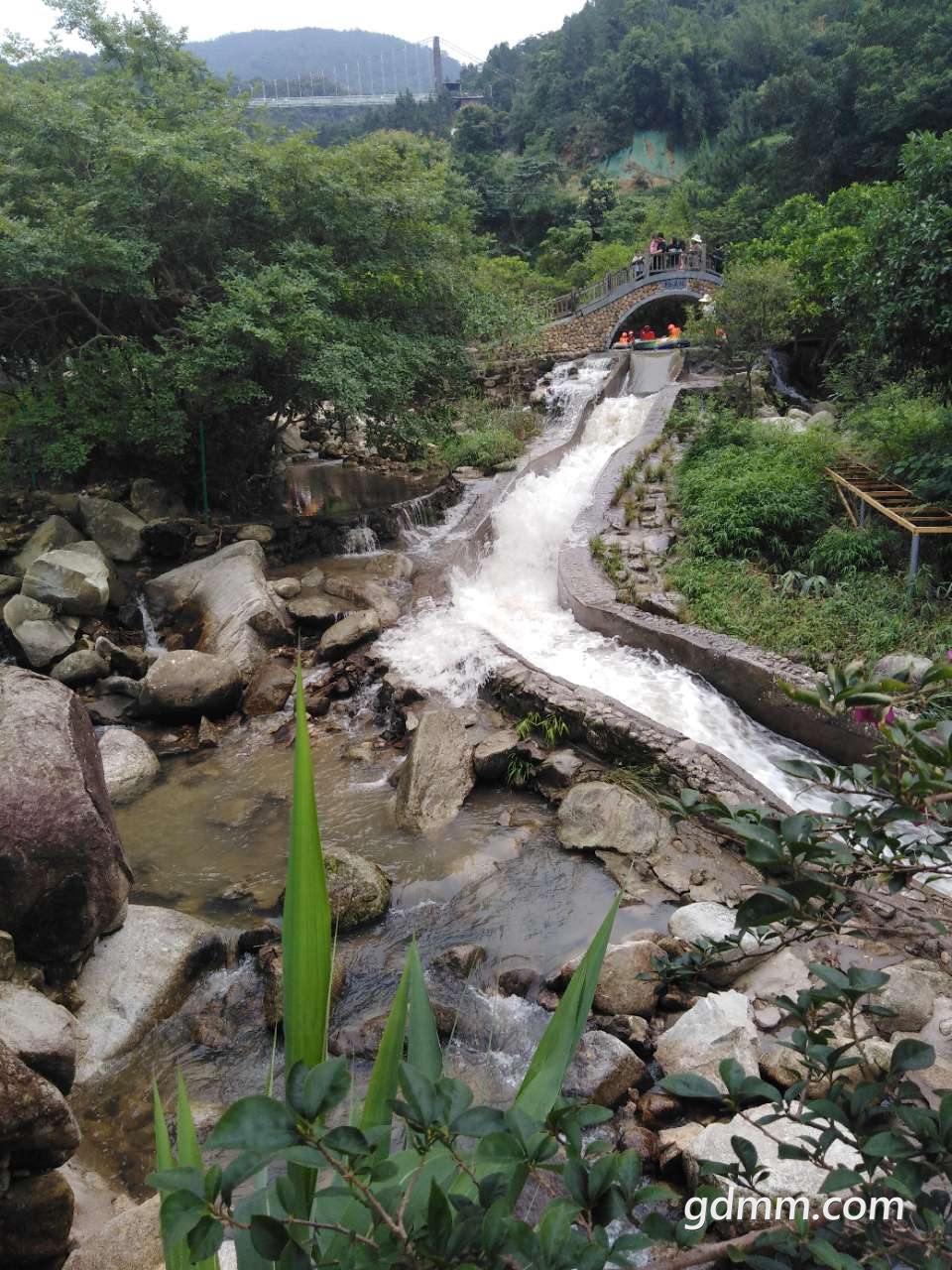 20190501_3281776_1556697026981.jpg