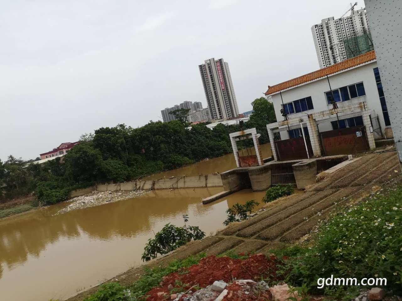 20190501_3271068_1556698895037.jpg