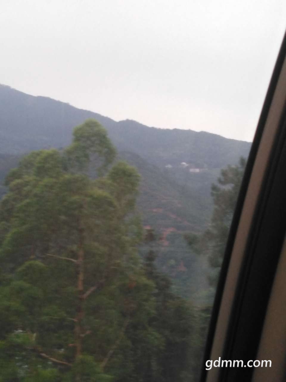 20190501_3281776_1556700921744.jpg