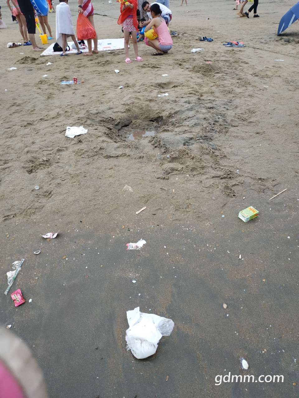 20190501_3265553_1556703685005.jpg