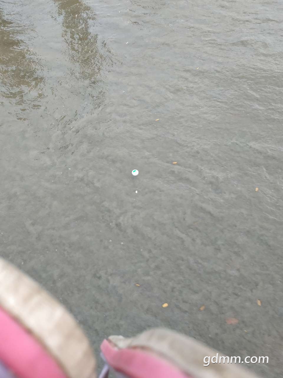 20190501_3265553_1556703686258.jpg