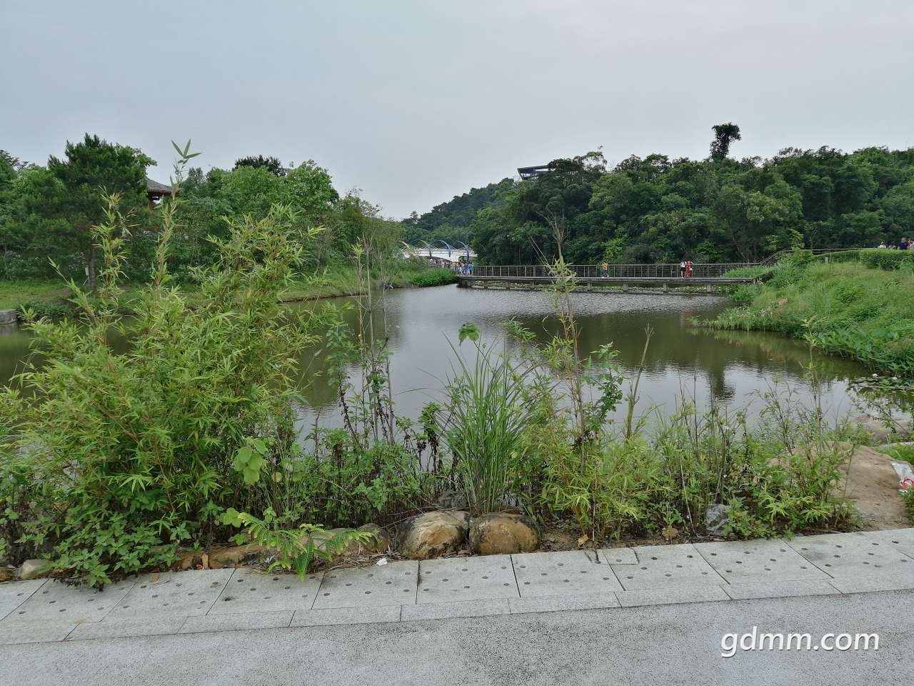 20190502_1590349_1556769589300.jpg
