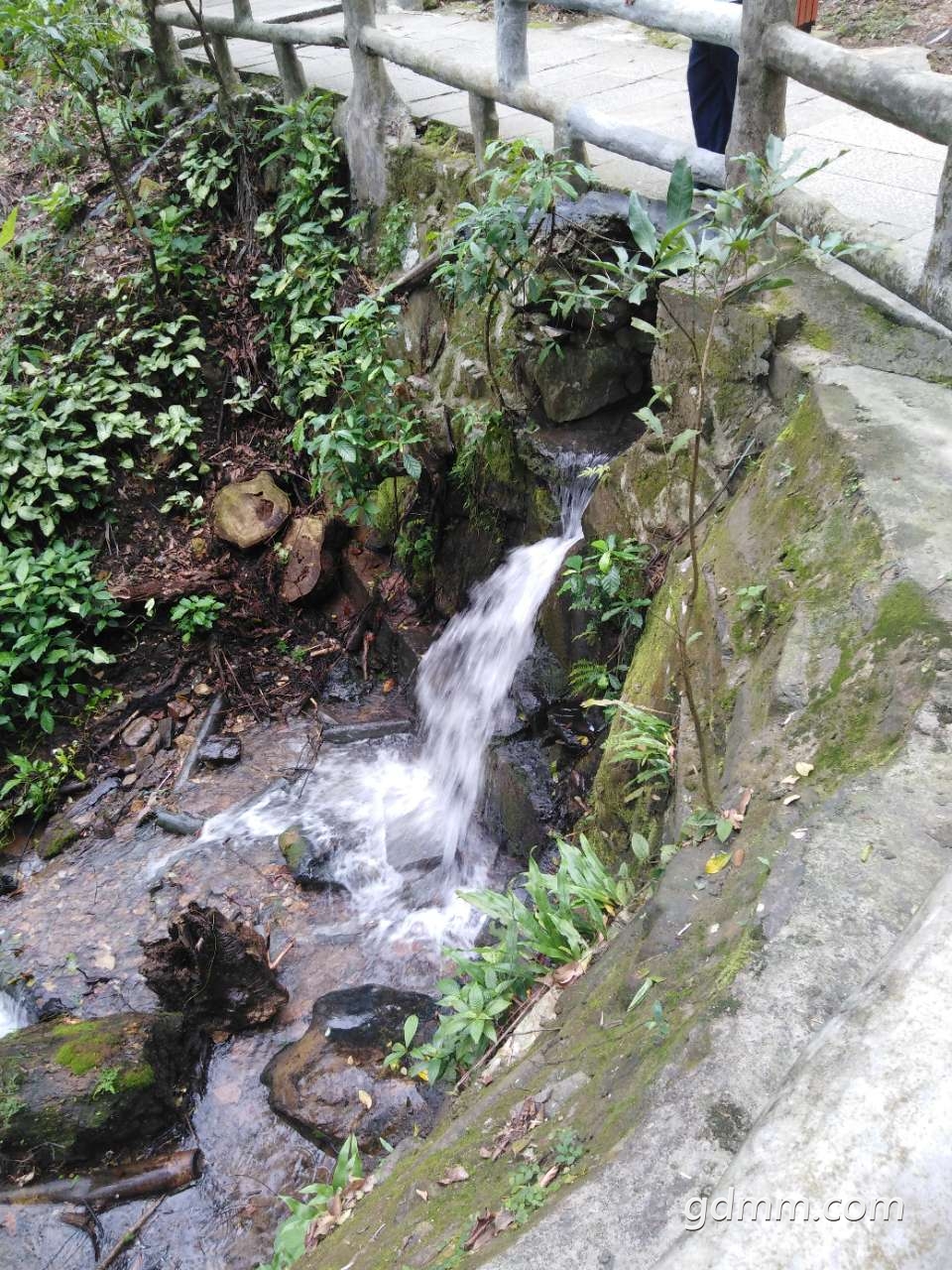 20190502_3281776_1556775491600.jpg