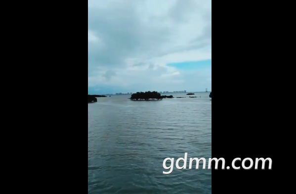 QQͼ20190502193315.png