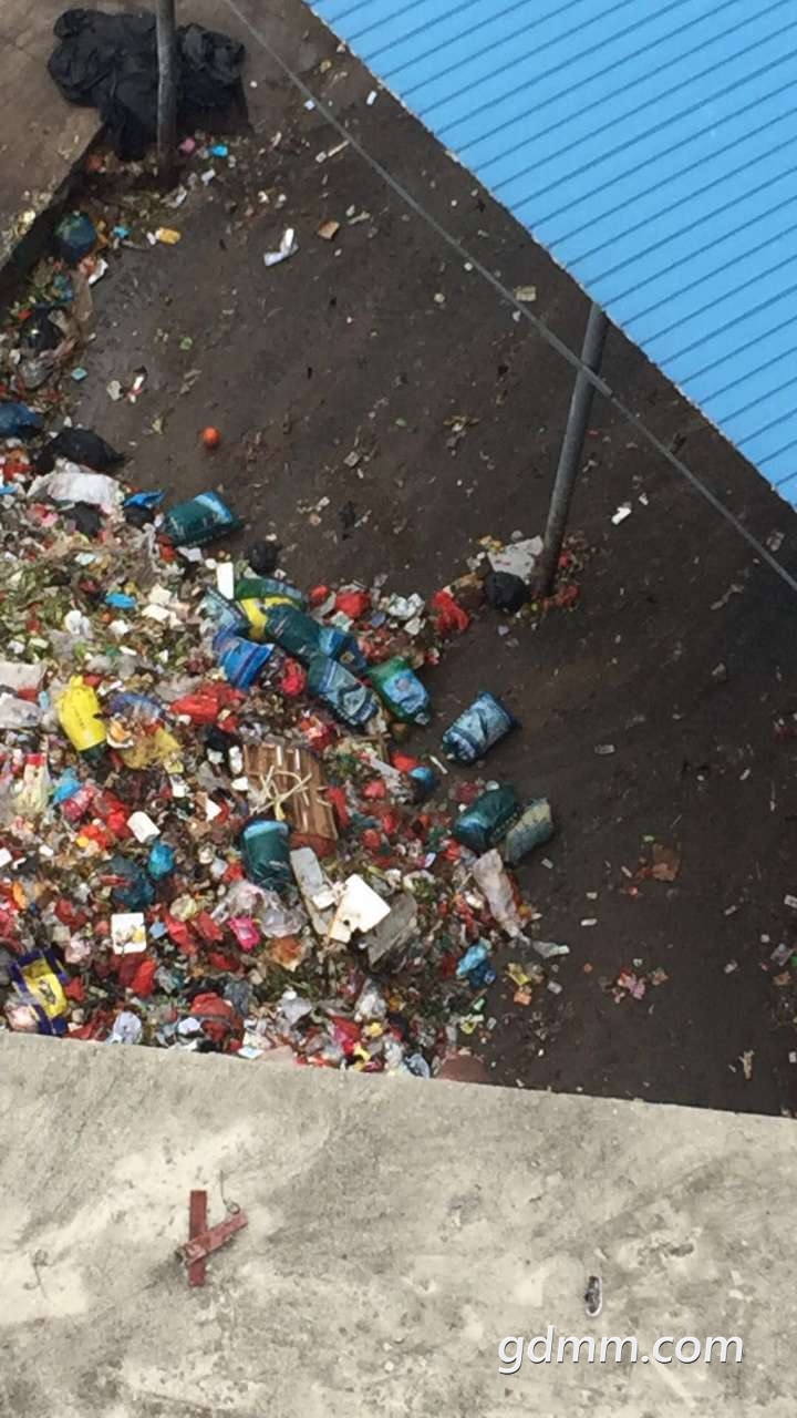 20190503_3284366_1556841871697.jpg