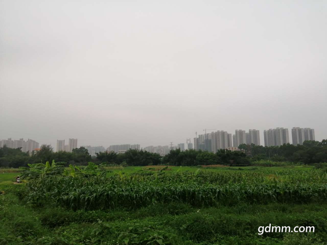 20190503_3275940_1556877879120.jpg