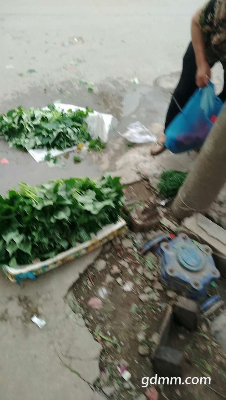 20190503_3245728_1556886920541.jpg