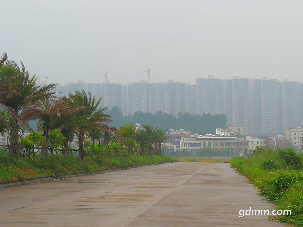 20190504_3276746_1556938864386.jpg
