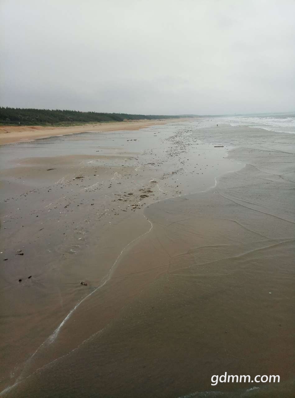 20190504_3275351_1556981111207.jpg