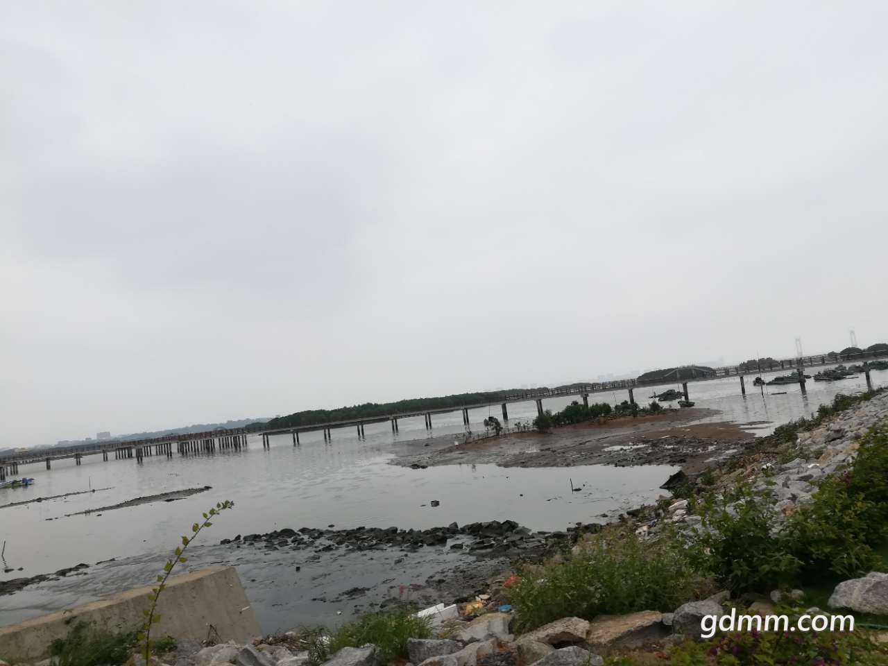 20190505_3271068_1557042876166.jpg