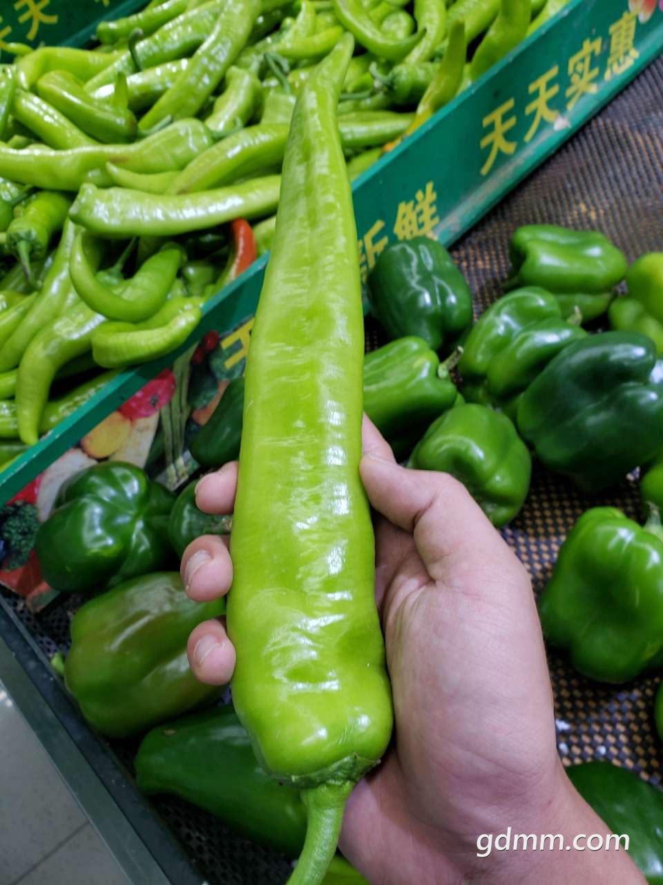 20190505_3281851_1557052042251.jpg