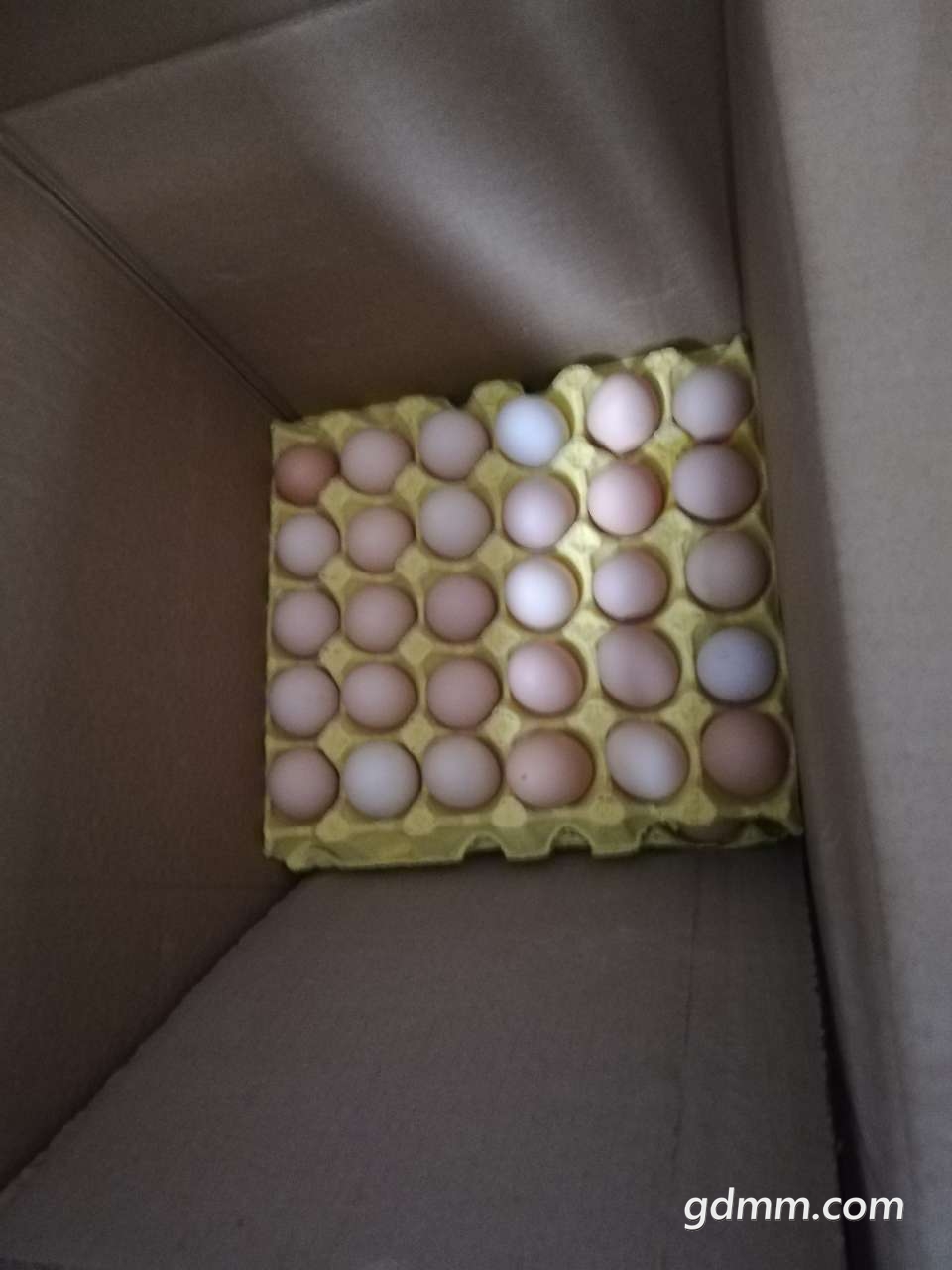 20190506_3278417_1557123857480.jpg