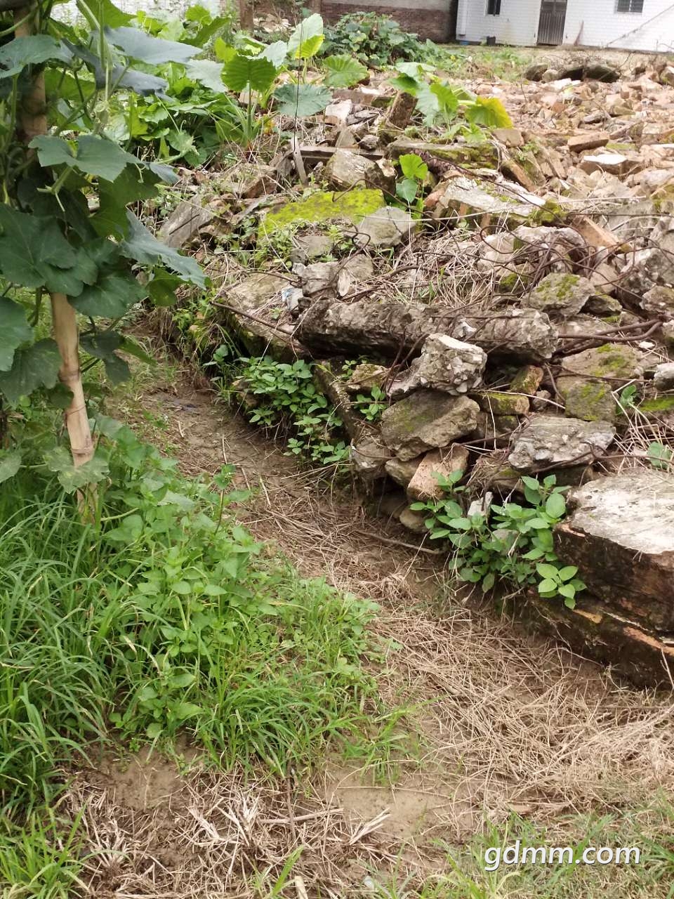 20190508_3284533_1557272078174.jpg
