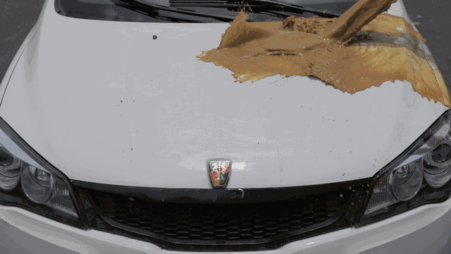 2.gif