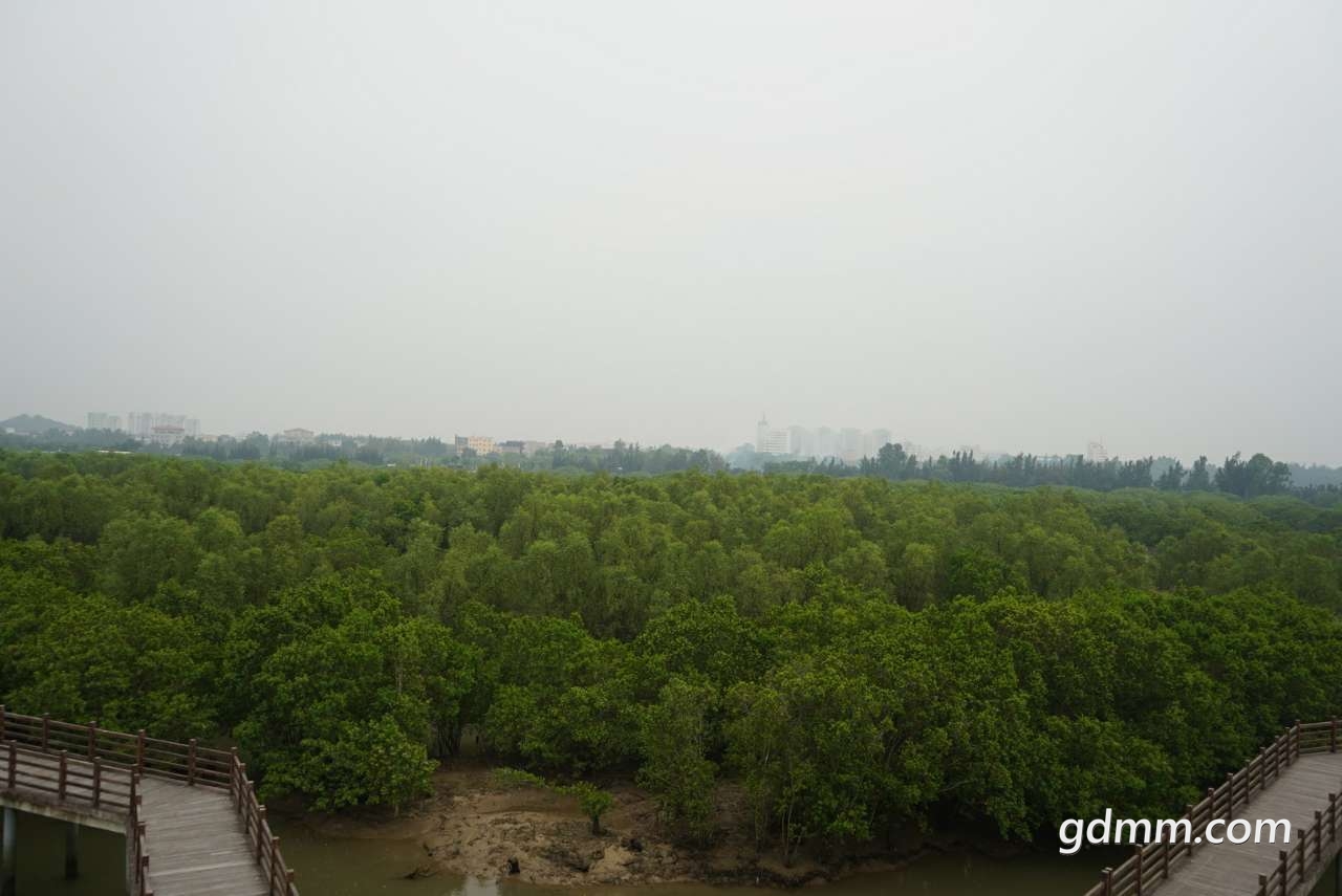 20190513_3256823_1557740557926.jpg