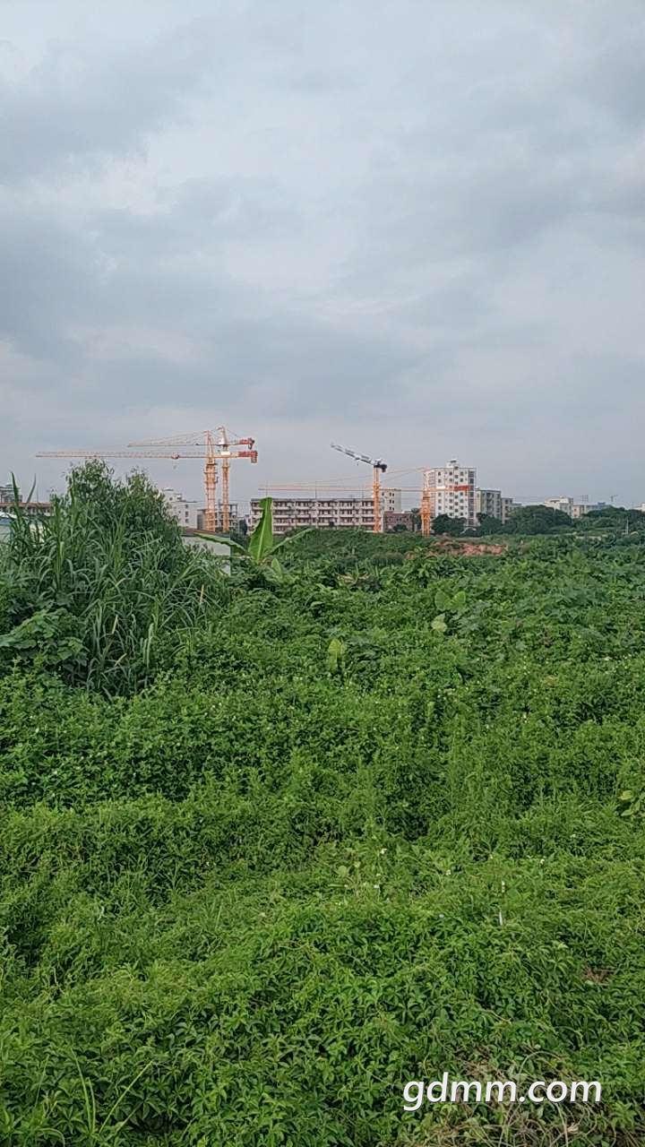 20190515_3273798_1557918069346.jpg