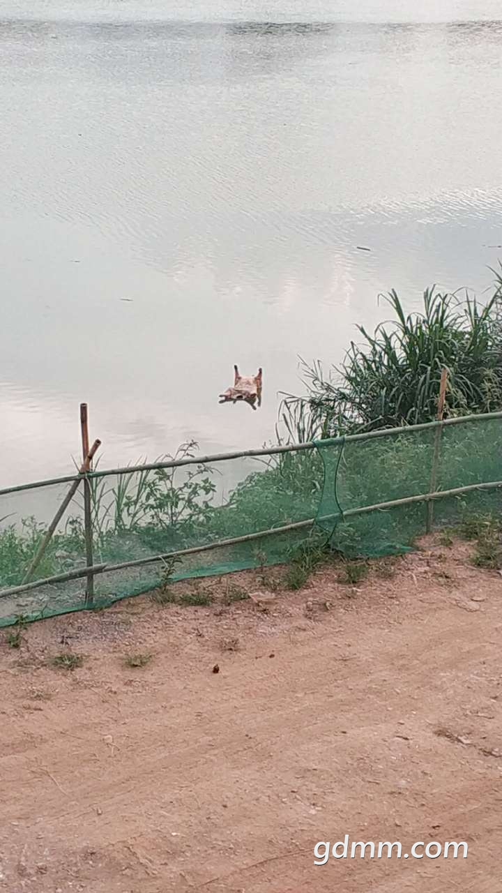20190515_3273798_1557918211335.jpg