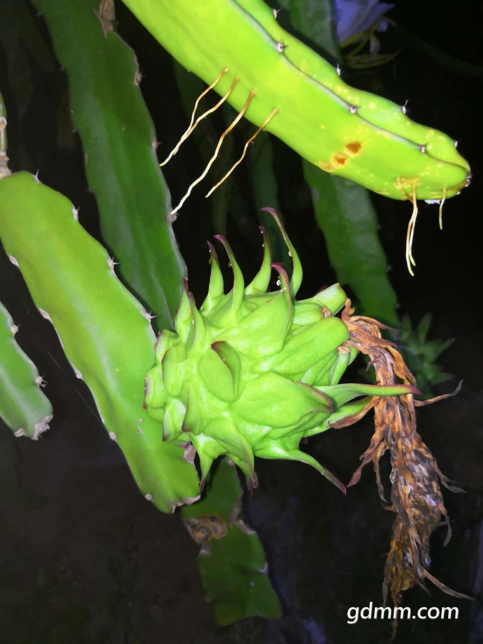 20190519_397207_1558274476798.jpg