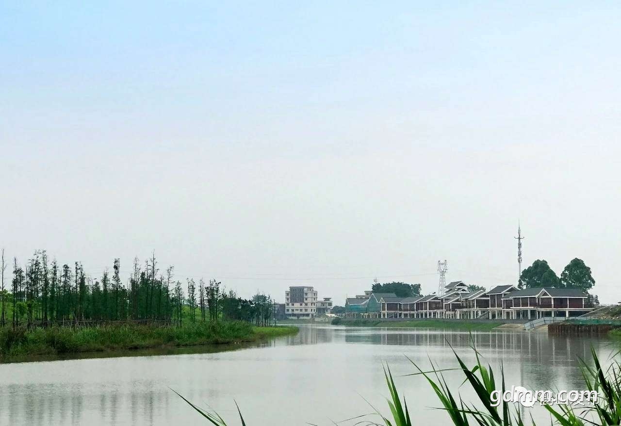 20190523_3256765_1558623499253.jpg