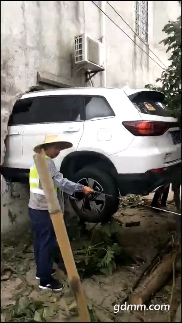 2019052432808431558679861489181.jpg
