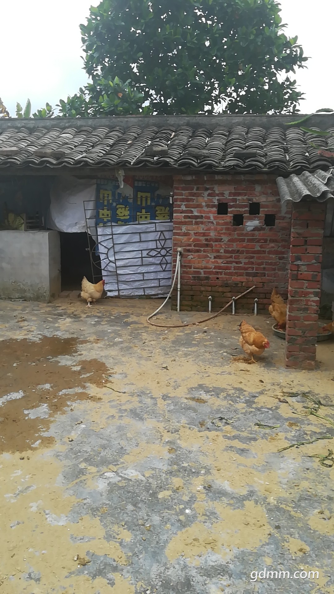 0.jpg