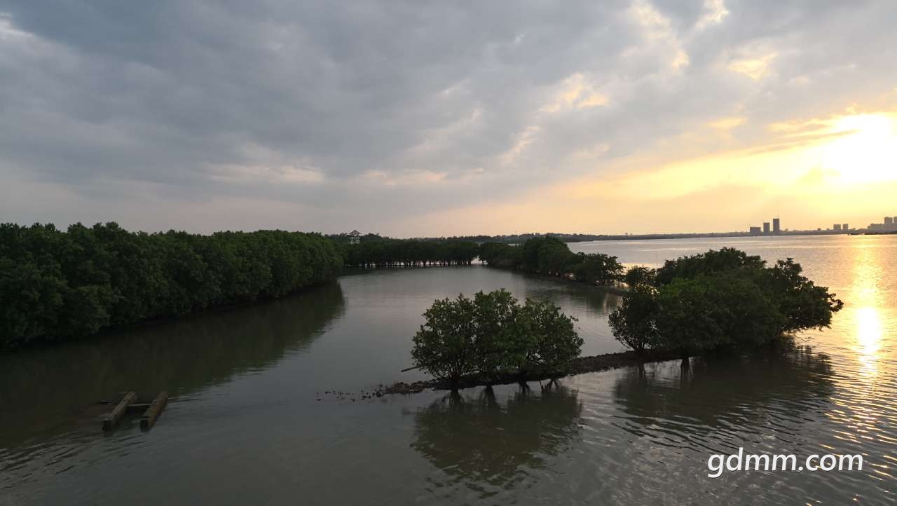 20190529_384782_1559094645515.jpg