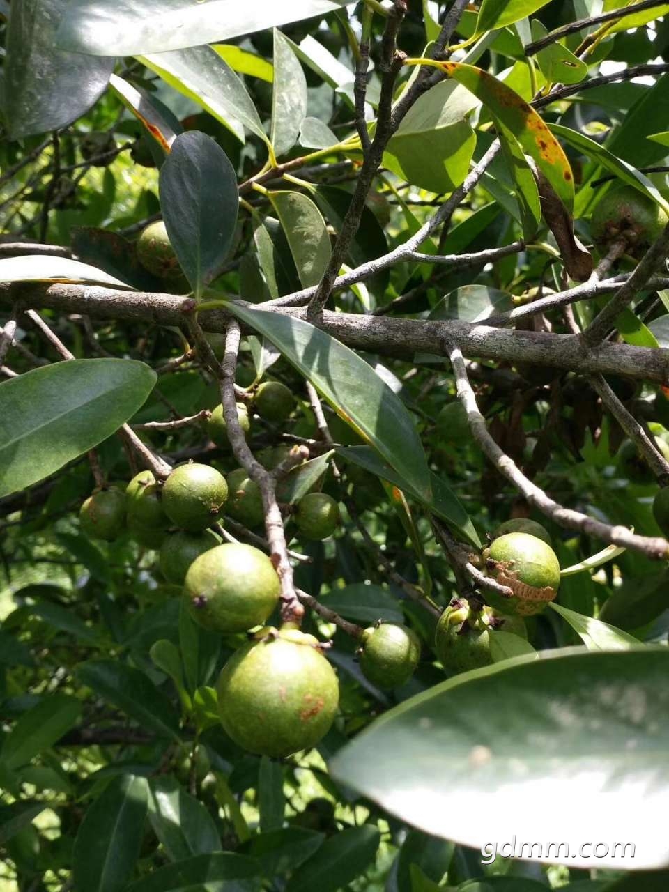 20190530_3242343_1559200216877.jpg