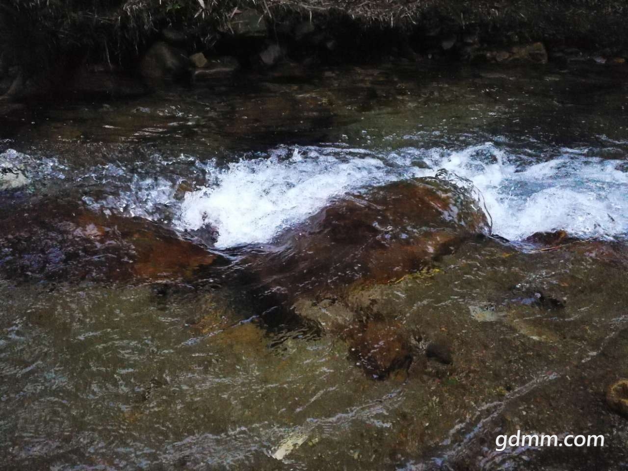 20190530_3276746_1559226507905.jpg