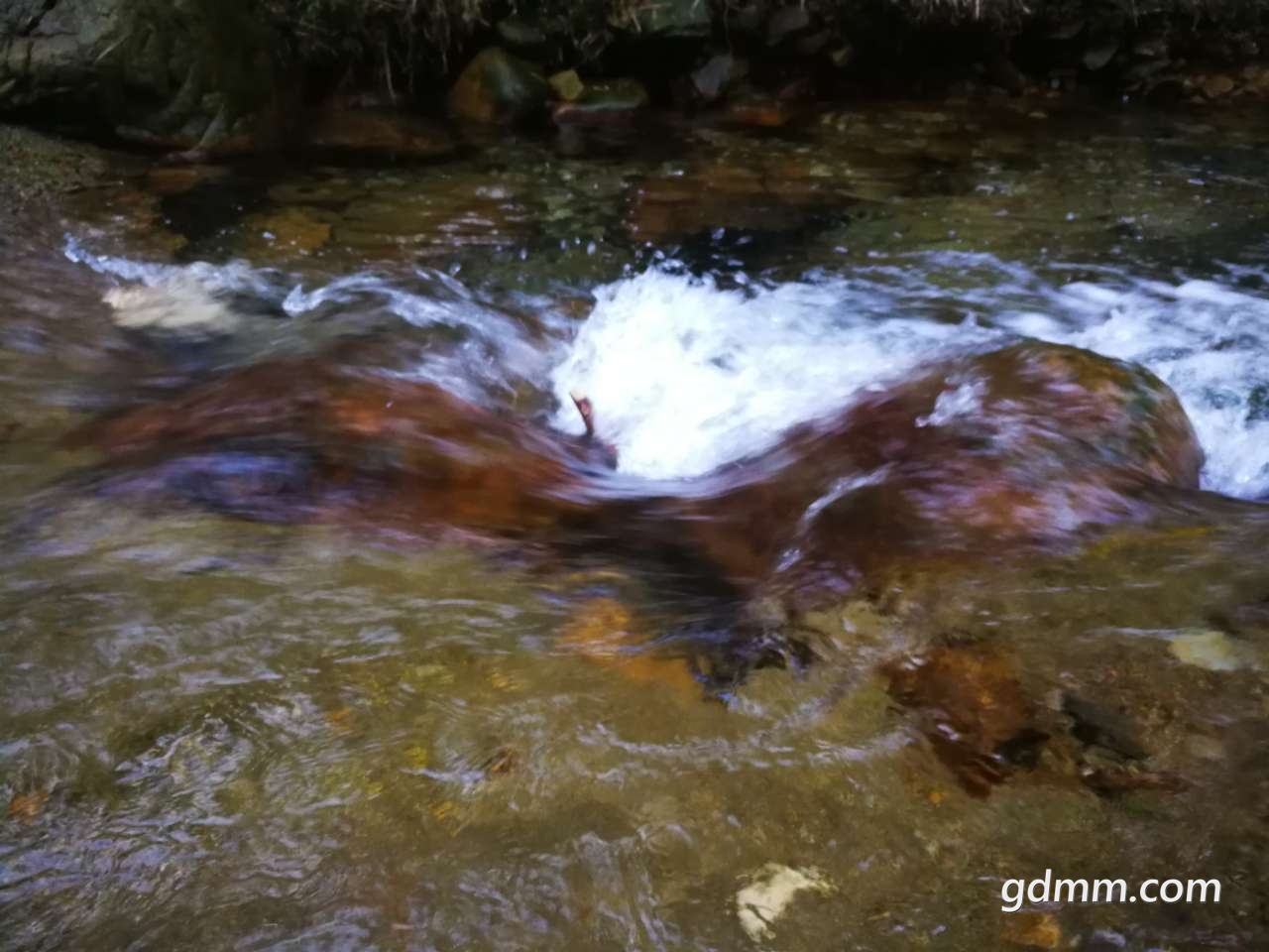 20190530_3276746_1559226507540.jpg