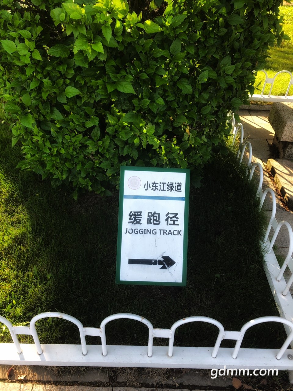 2019060131868211559346275023202.jpg