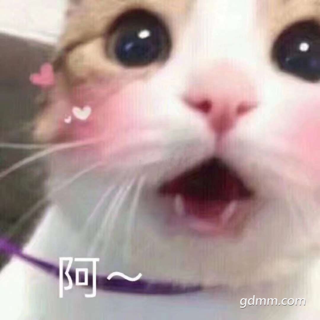 20190603_1982669_1559529026624.jpg