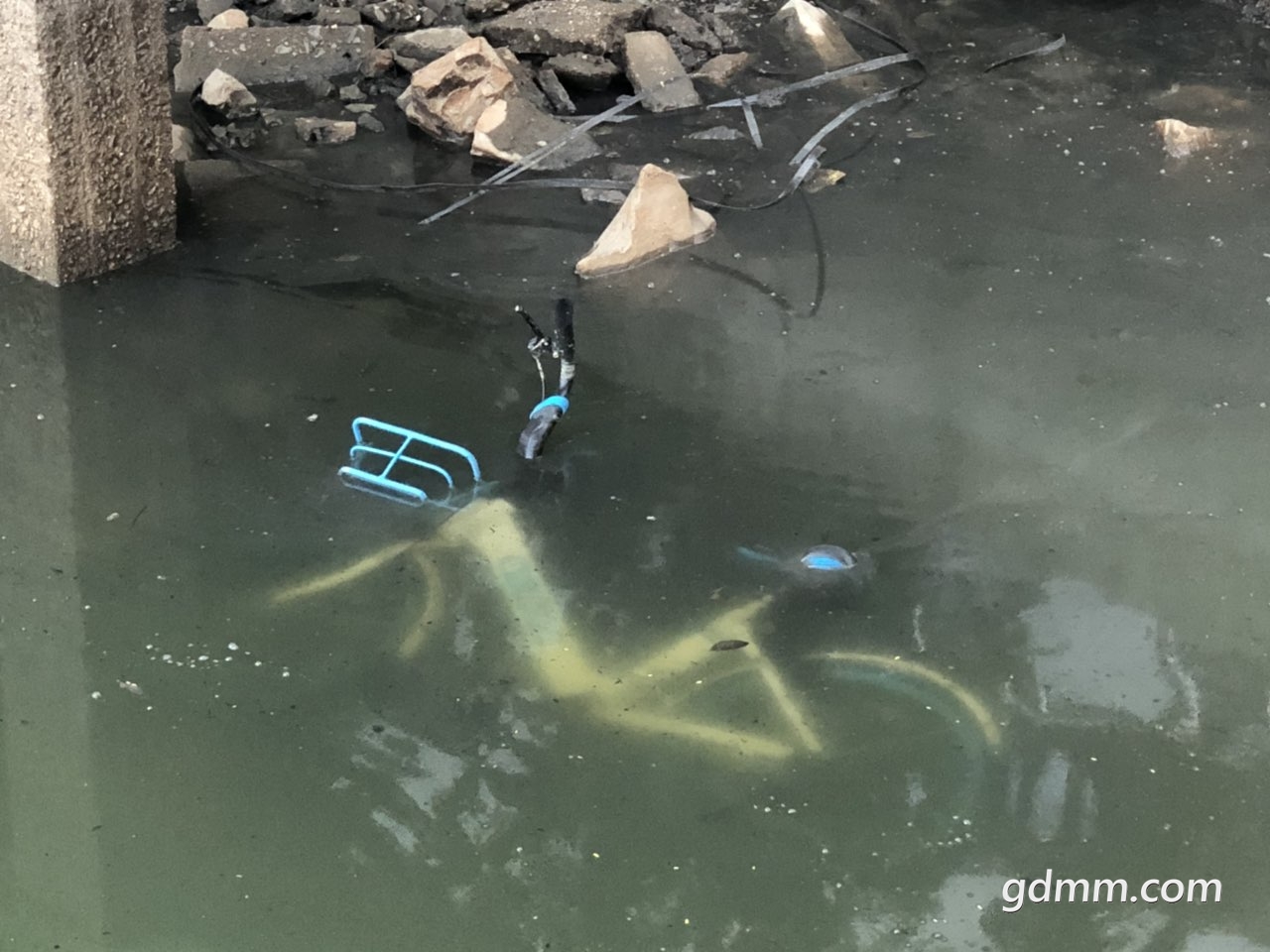 201906032455851559559076224079.jpg