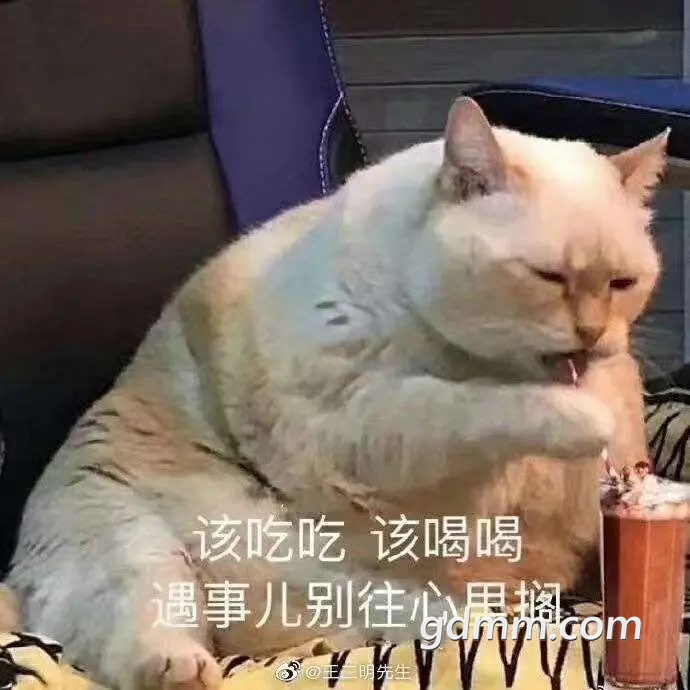 2019060532623711559729069709795.jpg
