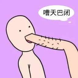 ï.jpg