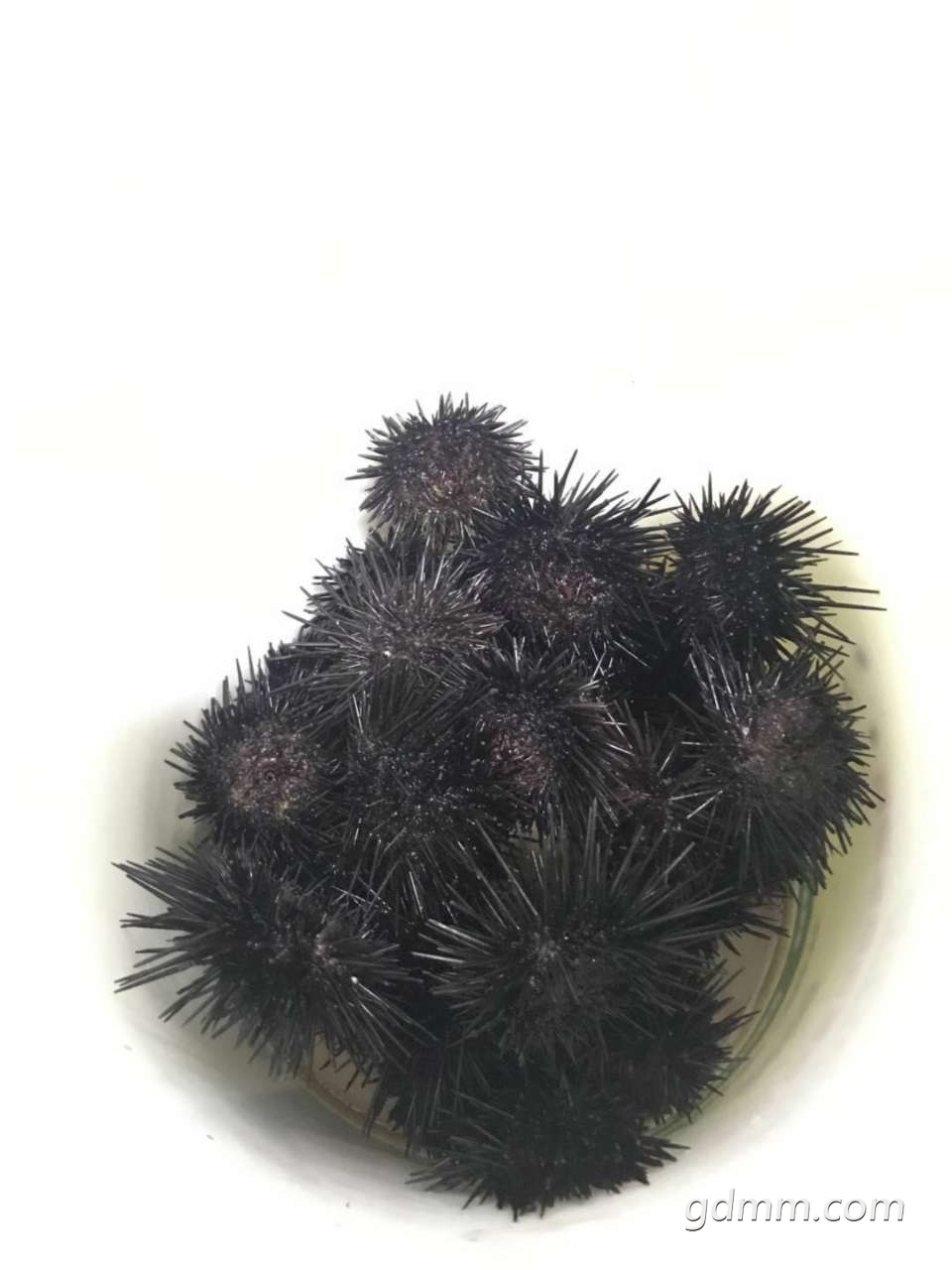 20190608_3274307_1559953224942.jpg