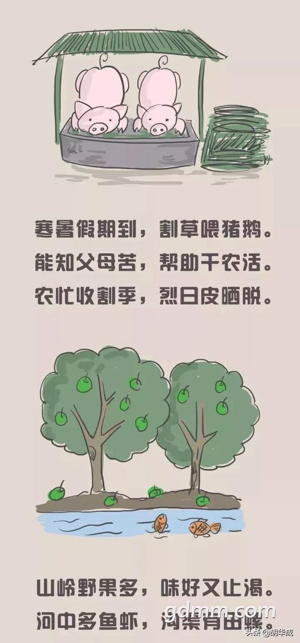 2019060812674651559996390792995.jpg