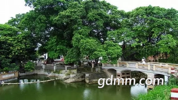 64018.jpg