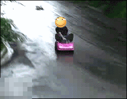 timg.gif