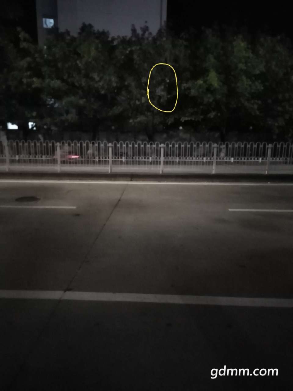 20190610_3281776_1560178941248.jpg